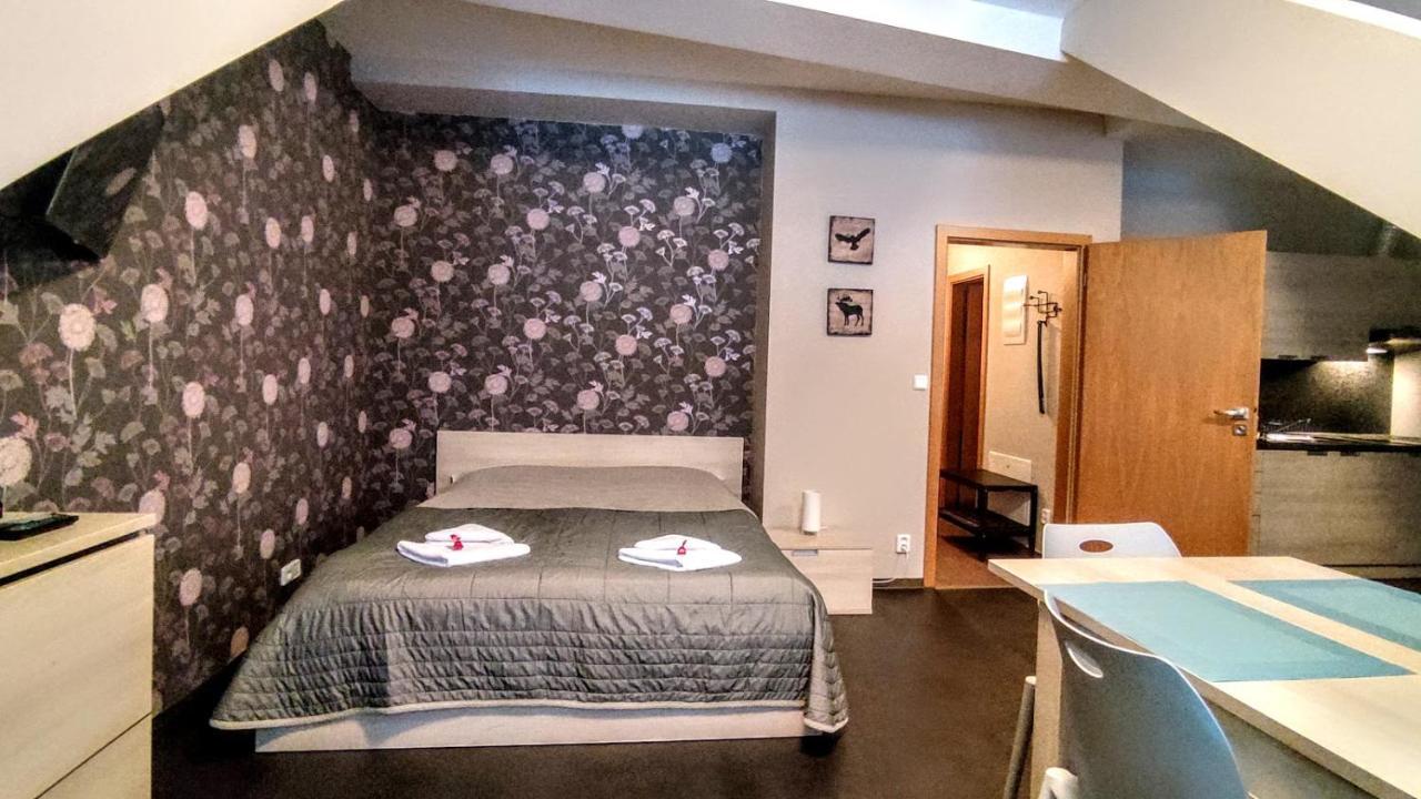 Horsky Apartman 1+Kk V Relaxacnim Prostredi Anenskeho Udoli Apartman Harrachov Kültér fotó
